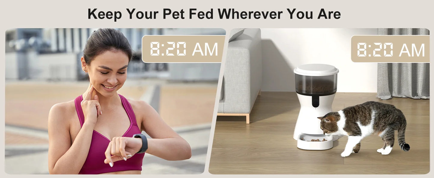 4L Timed Automatic Pet Feeder