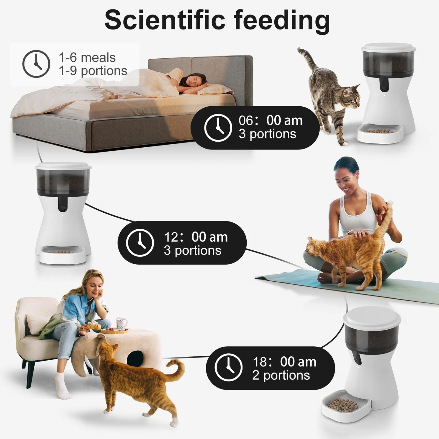 4L Timed Automatic Pet Feeder