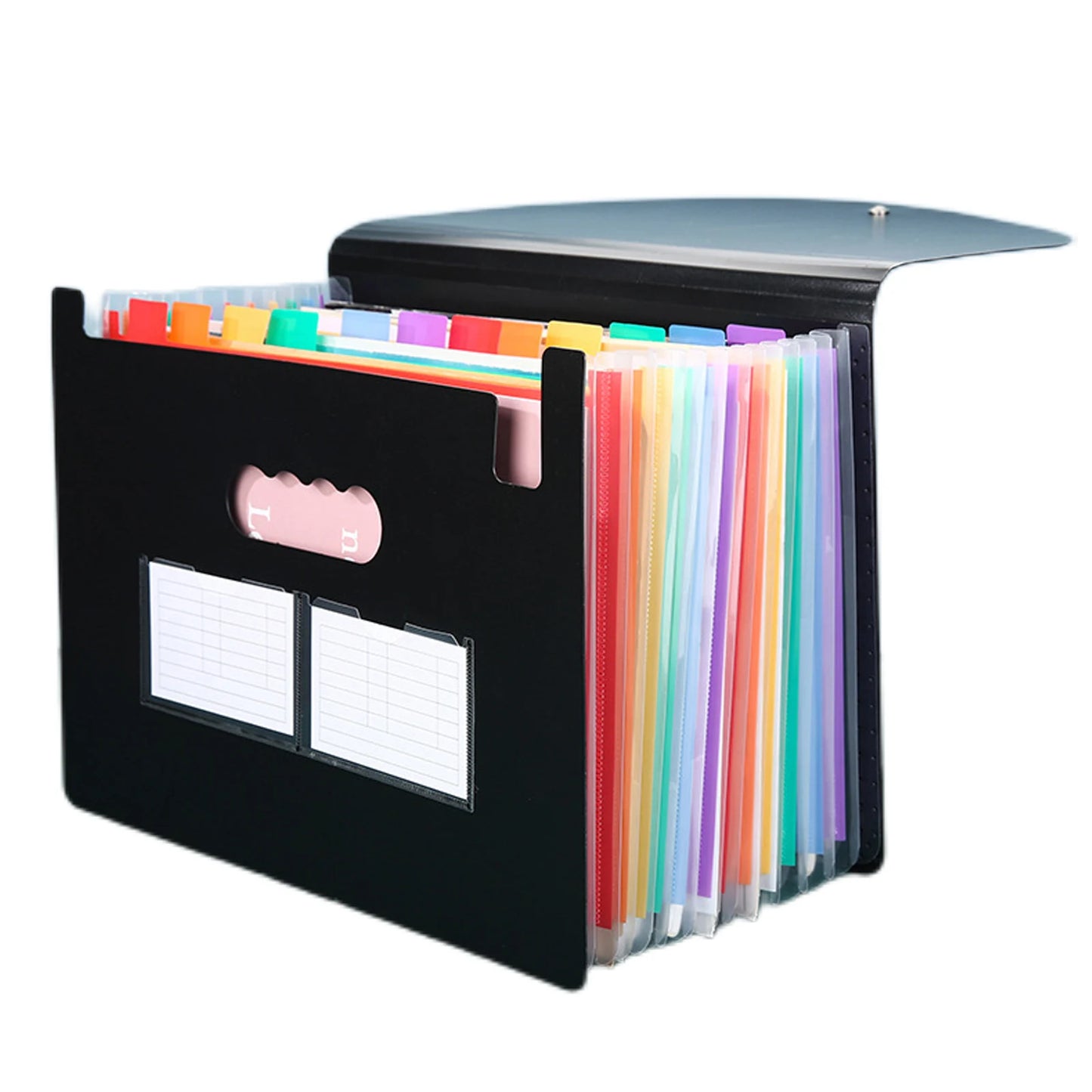 Portable Expandable File Organizer