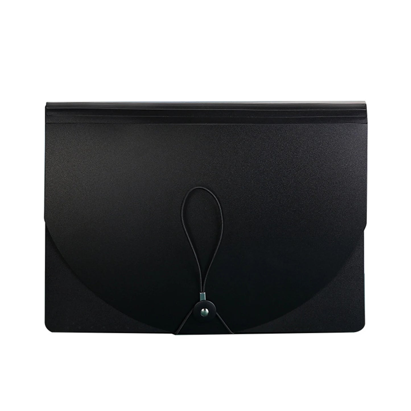 Portable Expandable File Organizer